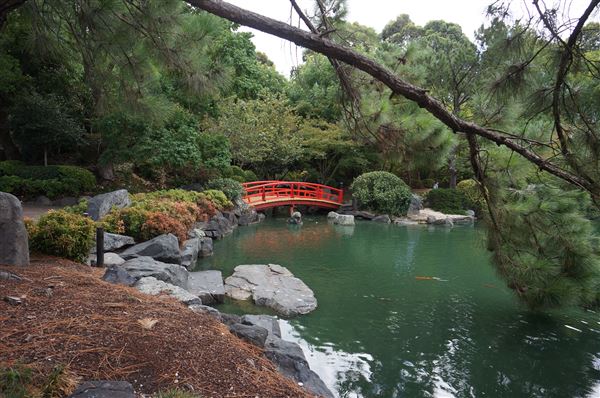 Auburn Botanic Gardens - Japanese Garden (4/02/2018 - Credits: Mary Barltrop)