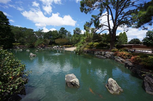 Auburn Botanic Gardens - Japanese Garden (4/02/2018 - Credits: Mary Barltrop)
