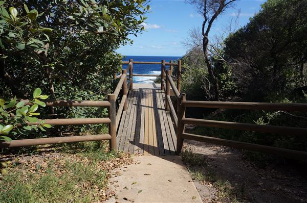 Bass Point Reserve (2/02/2018 - Credits: Mary Barltrop)