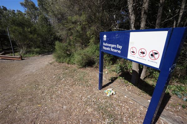 Bass Point Reserve (2/02/2018 - Credits: Mary Barltrop)