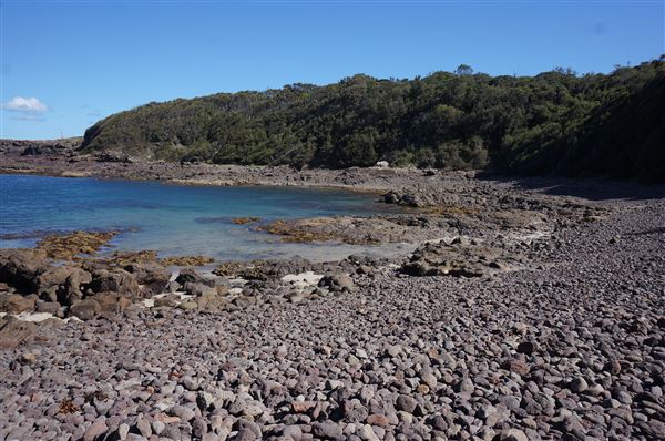 Bass Point Reserve (2/02/2018 - Credits: Mary Barltrop)