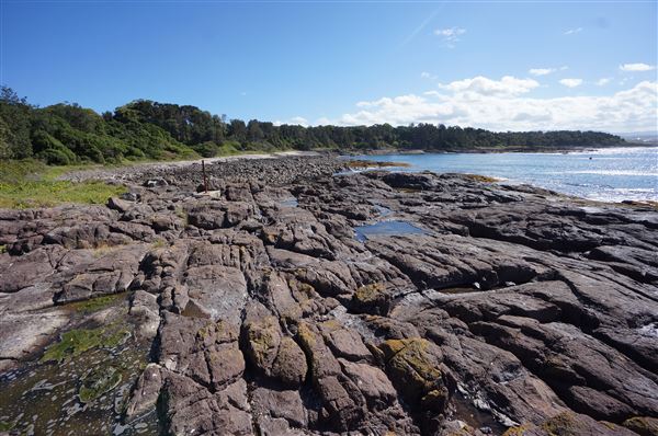Bass Point Reserve (2/02/2018 - Credits: Mary Barltrop)
