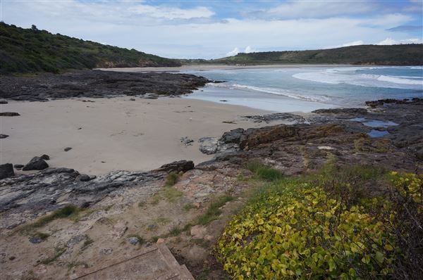 Killalea Regional Park (2/02/2018 - Credits: Mary Barltrop)