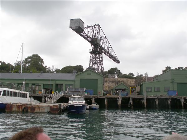 Goat Island (15/02/2018)