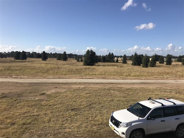 Penrith Lakes - Area 1 (8/06/2018 - Credits: Phillip Roope)