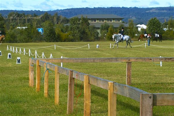 Camden Bicentennial Equestrian Park (18/07/2018 - Credits: Camden Council)