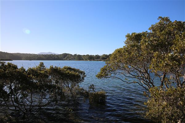 Bermagui (4/08/2018 - Credits: Lisa Scope)