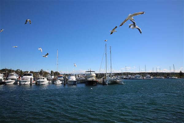 Bermagui (4/08/2018 - Credits: Lisa Scope)