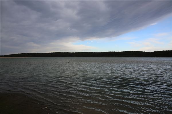 Tuross Head (5/08/2018 - Credits: Lisa Scope)