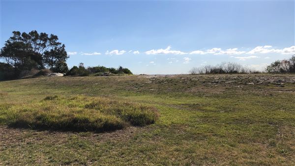Bonna Point Reserve (23/05/2018 - Credits: Shannon Wheeler)