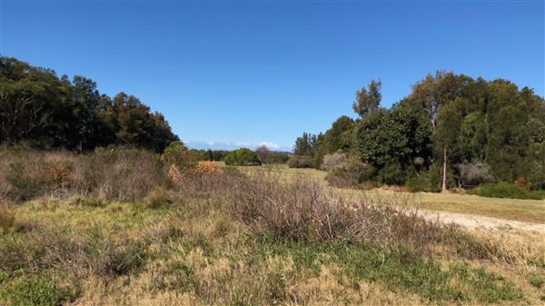 Bonna Point Reserve (23/05/2018 - Credits: Shannon Wheeler)