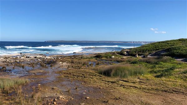 Kamay Botany Bay National Park (23/05/2018 - Credits: Shannon Wheeler)