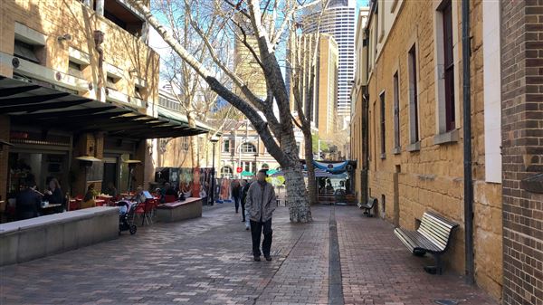 Playfair Street Buildings (5/09/2018 - Credits: Shannon Wheeler)