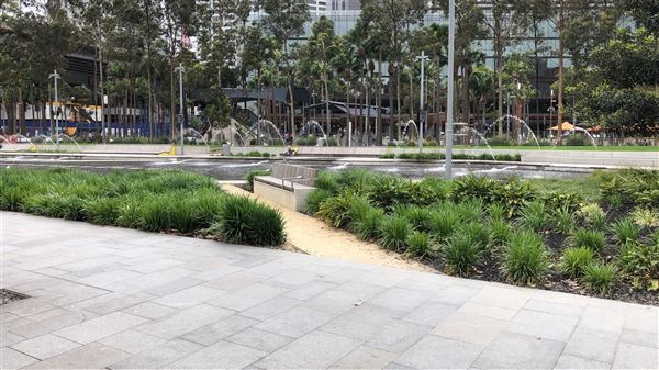 Darling Harbour (26/10/2018 - Credits: Shannon Wheeler)