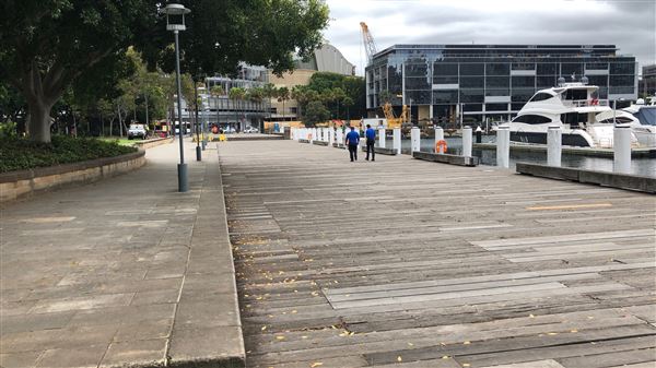Pyrmont Bay Park (26/10/2018 - Credits: Shannon Wheeler)