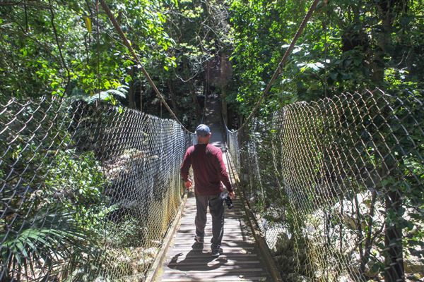 Minnamurra Rainforest Walk - Budderoo National Park (30/10/2018)