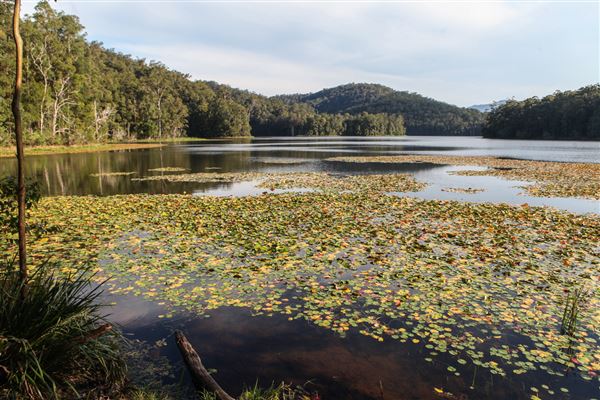 Clarrie Hall Dam (1/11/2018)