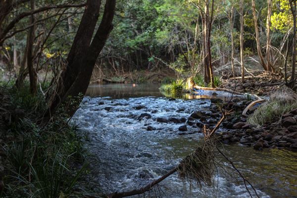 Clarrie Hall Dam (1/11/2018)