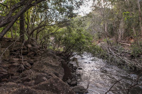 Clarrie Hall Dam (1/11/2018)