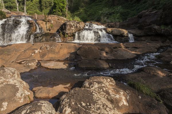 Whian Whian Falls (1/11/2018)