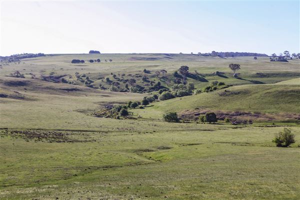 Taralga countryside (31/10/2018)