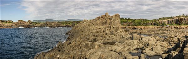 Bombo Headland Quarry (30/10/2018 - Credits: Chris Reynolds)