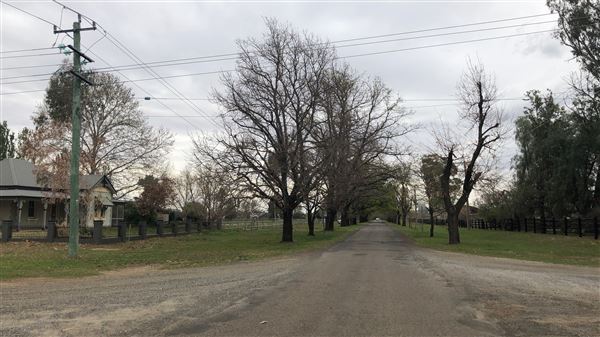 East Tamworth (17/09/2018 - Credits: Shannon Wheeler)
