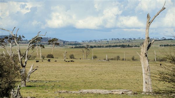 Armidale (20/09/2018 - Credits: Colin McDougall)