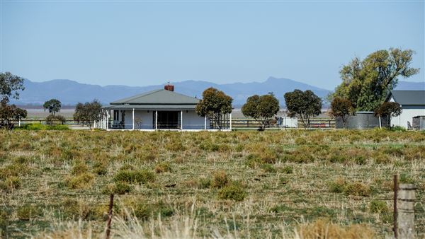 Curlewis (21/09/2018 - Credits: Colin McDougall)