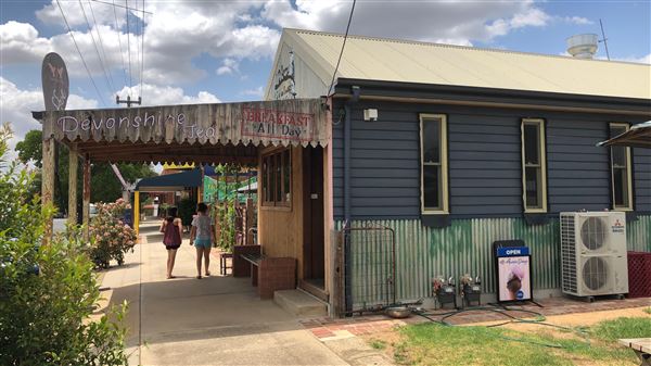 1/2 Acre Coffee Lounge Cafe & Nursery (8/01/2019 - Credits: Shannon Wheeler)