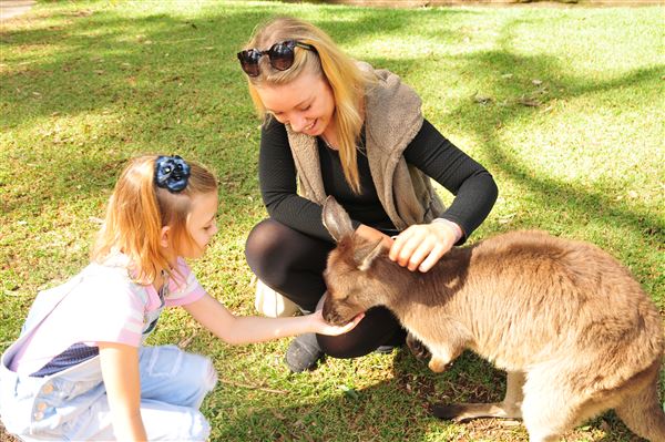 The Australian Reptile Park (25/02/2019 - Credits: Australian Reptile Park)