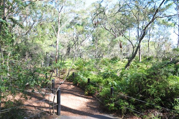 The Australian Reptile Park (25/02/2019 - Credits: Australian Reptile Park)