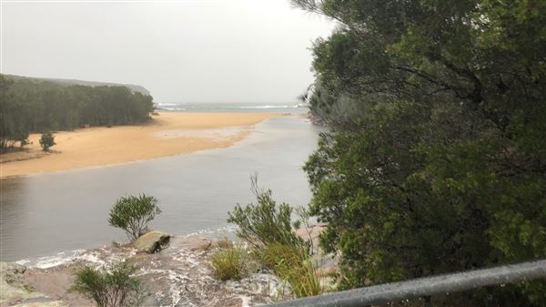 Wattamolla Beach (17/03/2019 - Credits: Shannon Wheeler)