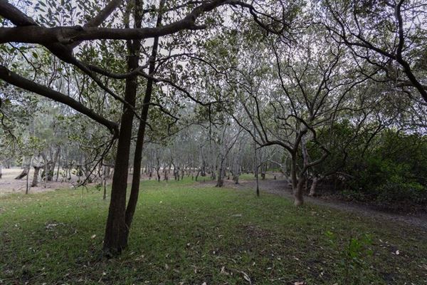 Burnum Burnum Sanctuary (1/05/2018)