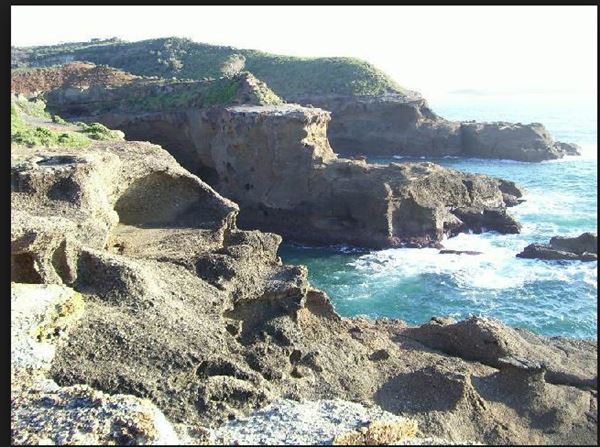 Munmorah State Conservation Area - Snapper Pt and Bongon Beach (8/06/2018 - Credits: N/A)