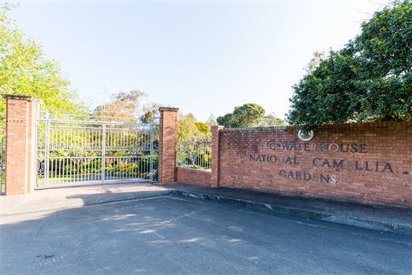Camelia Gardens (16/07/2019)