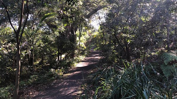 Trumper Park (24/08/2019 - Credits: Shannon Wheeler)