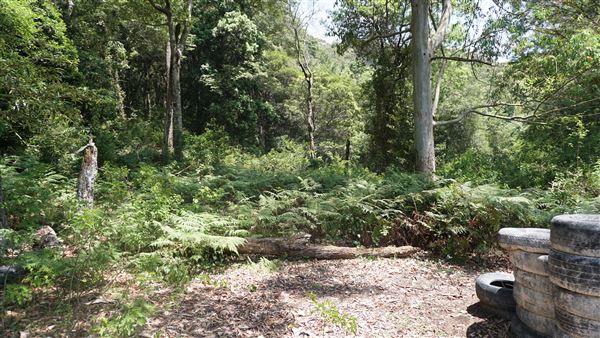 Otford Farm - Paintball Property (19/11/2019 - Credits: Screen NSW)