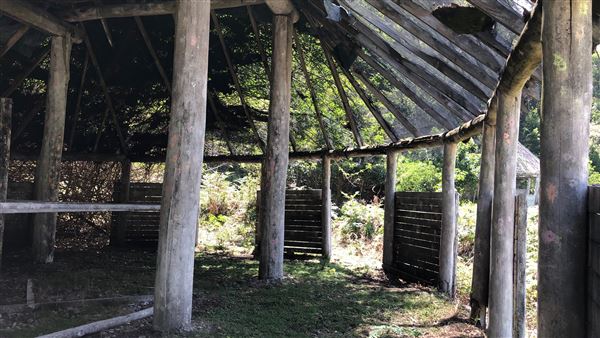 Otford Farm - Paintball Property (19/11/2019 - Credits: Screen NSW)