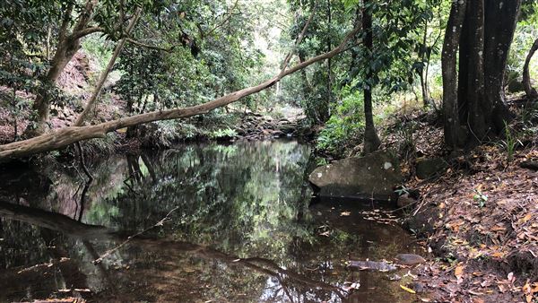 Otford Farm - The Pines Paddock with Jungle Gully (19/11/2019 - Credits: Screen NSW)