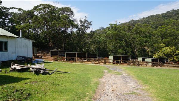 Otford Farm - Horse Farm (19/11/2019 - Credits: Screen NSW)