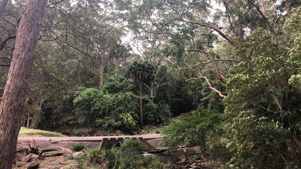 Otford Farm - Horse Farm (19/11/2019 - Credits: Screen NSW)