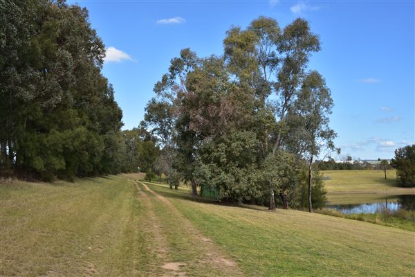 Roads & Parking Lots - Sydney International Regatta Centre (2/08/2018 - Credits: SIRC)