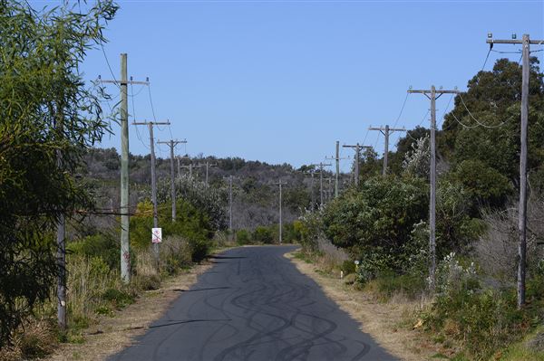 Sir Joseph Banks Drive (17/10/2019)