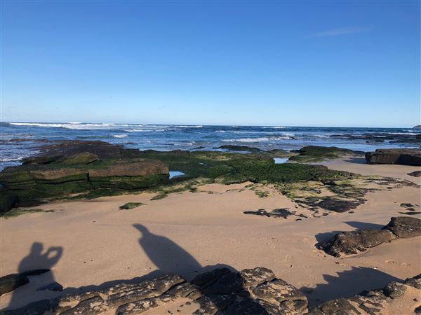Berrara Beaches (7/07/2020 - Credits: Shannon Wheeler)