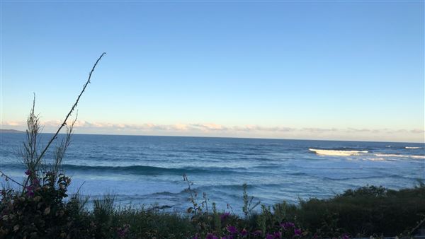 Berrara Beaches (7/07/2020 - Credits: Shannon Wheeler)