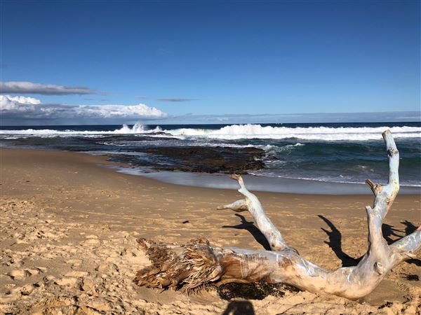 Swan Lake Inlet - Cudmirrah Beach (8/07/2020 - Credits: Shannon Wheeler)