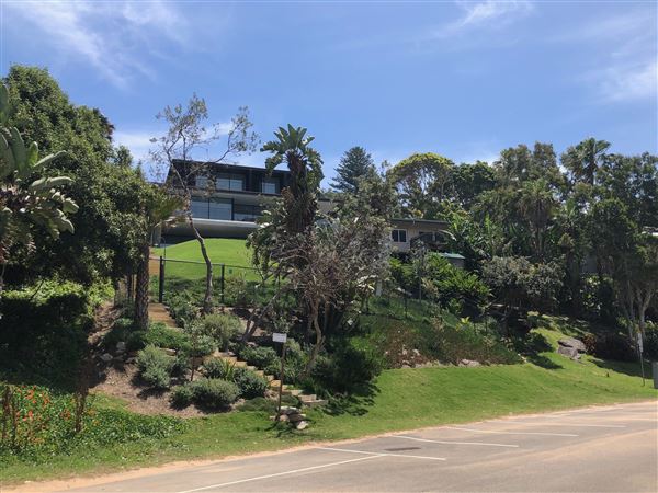 Whale Beach (20/11/2020 - Credits: Screen NSW)