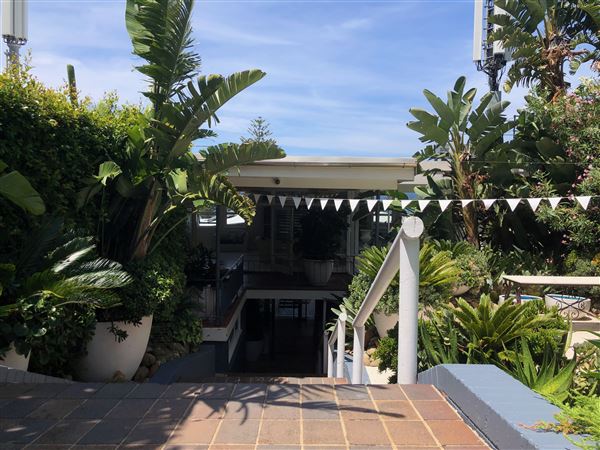 Whale Beach (20/11/2020 - Credits: Screen NSW)