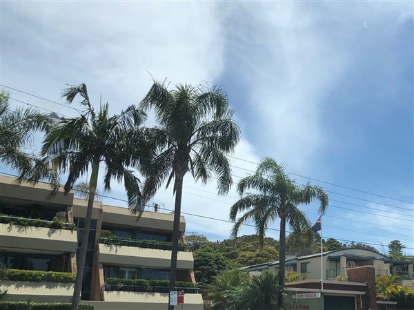 Avalon Beach (20/11/2020 - Credits: Screen NSW)